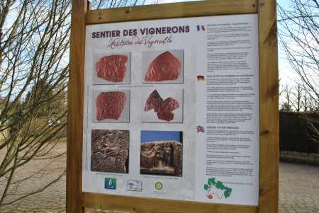 66 . Panneau 1 : histoire du vignoble de Guentrange